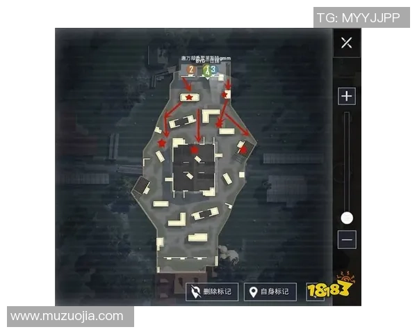 和平精英战术解析：深入剖析WE战队的战略布局与团队配合技巧